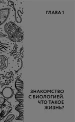 Биология. Школьная база для детей и взрослых — изображение 9