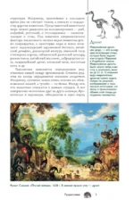 Животные. Популярный иллюстрированный гид — изображение 6
