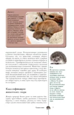 Животные. Популярный иллюстрированный гид — изображение 8