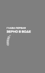 Пиво. Традиции и современность — изображение 10