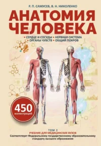 Анатомия человека. Сердце и сосуды, нервная система, органы чувств, общий покров. Владимир Николенко, Рудольф Самусев