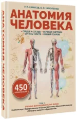 Анатомия человека. Сердце и сосуды, нервная система, органы чувств, общий покров — изображение 2