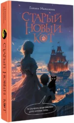 Старый новый кот — изображение 2