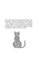 Старый новый кот — изображение 4