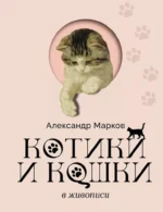 Котики и кошки в живописи. Александр Марков