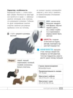 Собаки. 80 самых популярных пород. Иллюстрированный определитель — изображение 18