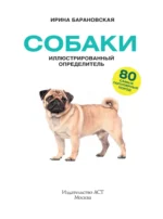 Собаки. 80 самых популярных пород. Иллюстрированный определитель — изображение 5