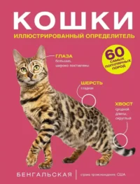 Кошки. 60 самых популярных пород. Иллюстрированный определитель. Анна Спектор, Дмитрий Смирнов
