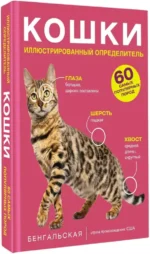 Кошки. 60 самых популярных пород. Иллюстрированный определитель — изображение 2