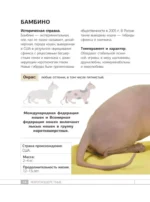 Кошки. 60 самых популярных пород. Иллюстрированный определитель — изображение 13