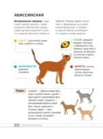 Кошки. 60 самых популярных пород. Иллюстрированный определитель — изображение 7