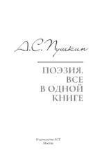 Поэзия. Все в одной книге — изображение 4