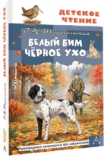 Белый Бим Чёрное ухо — изображение 2
