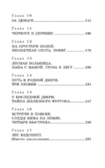 Белый Бим Чёрное ухо — изображение 4