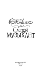 Слепой музыкант — изображение 4