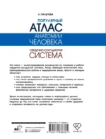 Популярный атлас анатомии человека. Сердечно-сосудистая система — изображение 2