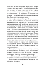 Вождь краснокожих — изображение 5