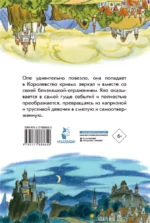 Королевство кривых зеркал — изображение 3