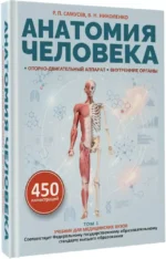 Анатомия человека. Опорно-двигательный аппарат, внутренние органы — изображение 2