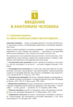 Анатомия человека. Опорно-двигательный аппарат, внутренние органы — изображение 12