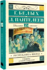Республика ШКИД — изображение 2