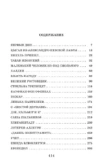 Республика ШКИД — изображение 4