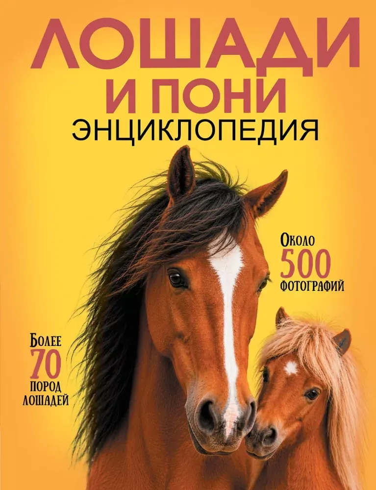 9785171907723_0 Лошади и пони