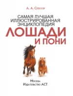 Лошади и пони — изображение 4
