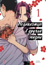 Незнакомцы в другой жизни. Том 1. Асука Кониси