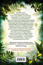 Превращение Карага — изображение 3