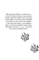 Месть пумы — изображение 4