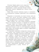 Приключения доисторического мальчика — изображение 5