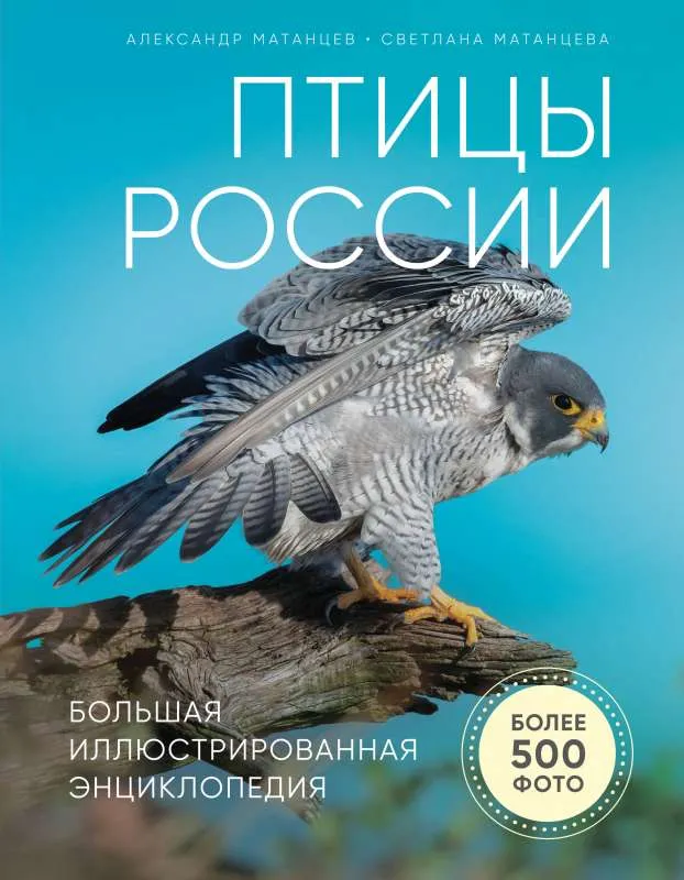 9785041013356_0-1.webp Птицы России. Большая иллюстрированная энциклопедия. МАТАНЦЕВ А.Н.