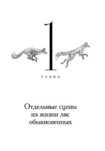 Лисы не строят нор — изображение 6