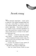 День огня — изображение 5