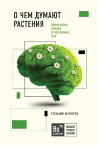 О чем думают растения. Алессандра Виола, Стефано Манкузо