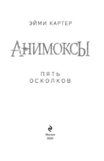 Анимоксы. Пять Осколков — изображение 4