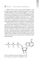 Верни свою энергию. Как восполнить дефицит питательных веществ, избавиться от хронической усталости и продлить молодость — изображение 12