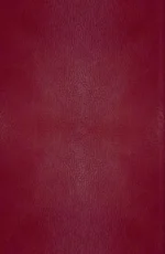 Хроники Нарнии. Начало истории — изображение 2