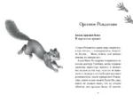Двенадцать секретов — изображение 3