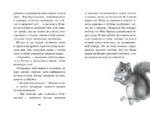 Двенадцать секретов — изображение 4