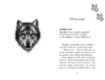 Двенадцать секретов — изображение 6