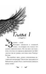 Соколиный пик. Око бури — изображение 4