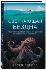 Сверкающая бездна. Какие тайны скрывает океан и что угрожает его глубоководным обитателям — изображение 2