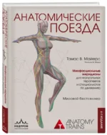 Анатомические поезда — изображение 2