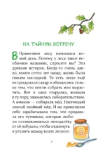 Лесные герои. Четвёрка отважных — изображение 6