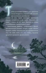 Прюнель. Мятежная чародейка — изображение 3