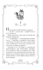 Школа Фелидиксов — изображение 4