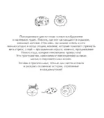 Круглый год с кошками. Раскраска — изображение 4