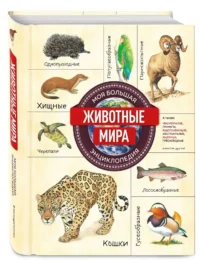 Животные мира. Моя большая энциклопедия — Детские энциклопедии